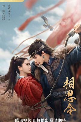 相思令 第13集