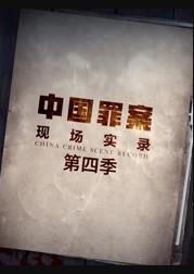 罪案现场实录第四季(全集)